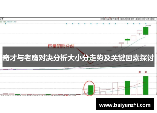 奇才与老鹰对决分析大小分走势及关键因素探讨